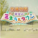 网站进入蜘蛛池