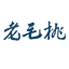 百度蜘蛛池的建立