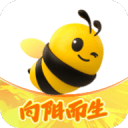 什么软件推广蜘蛛池