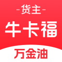 站群SEO操作技巧与实战指南