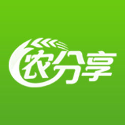 蜘蛛池与优化