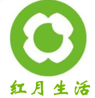 有没有用过蜘蛛池的