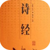 蜘蛛池要设置多少天