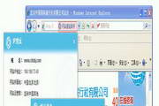 域名放在蜘蛛池有什么用途