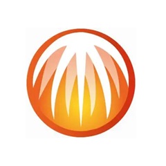 网站蜘蛛池怎么做的多一些