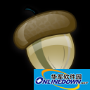 免费的蜘蛛池有哪些地方可以看
