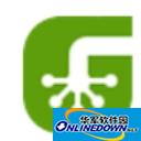 泛目录和蜘蛛池哪个好用
