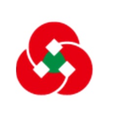 蜘蛛池快排是什么意思