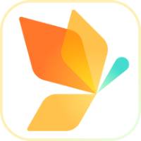 蜘蛛池演示站