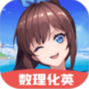 蜘蛛池与优化