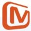 站群SEO操作技巧与实战指南