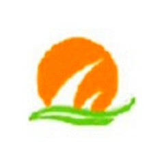 SEO优化：提升网站排名的关键策略